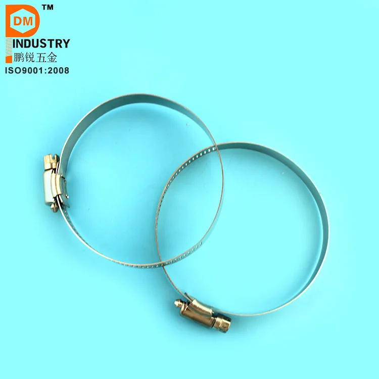 Hose Clamp  (32)