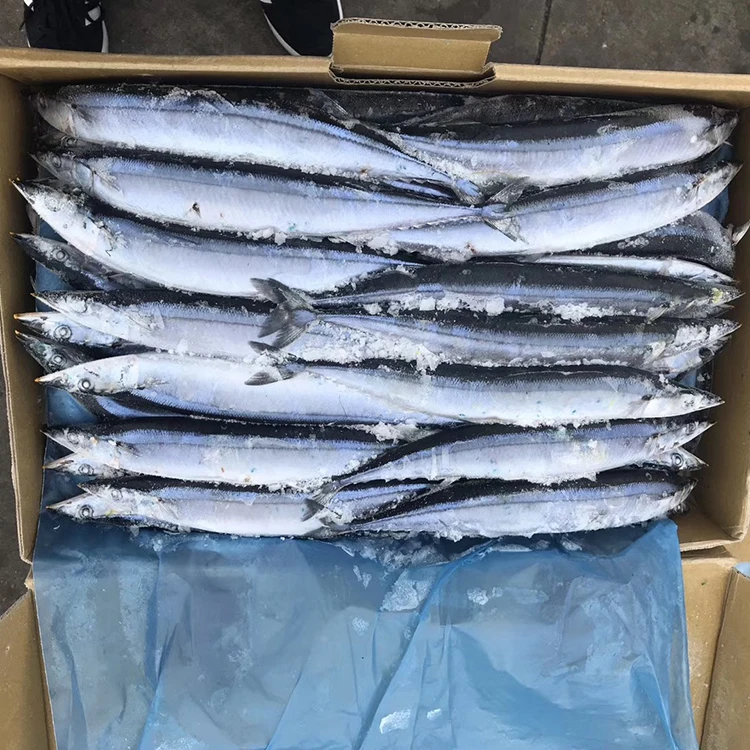 1bf21cad679fea0 (6).jpg