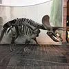Custom Outdoor Resin Animal Sculpture Fiberglass Dinosaur Bone Statue For Sale