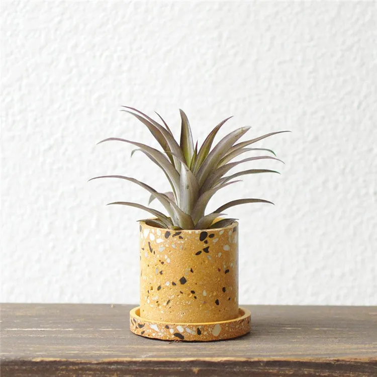 yellow-terrazo.jpg