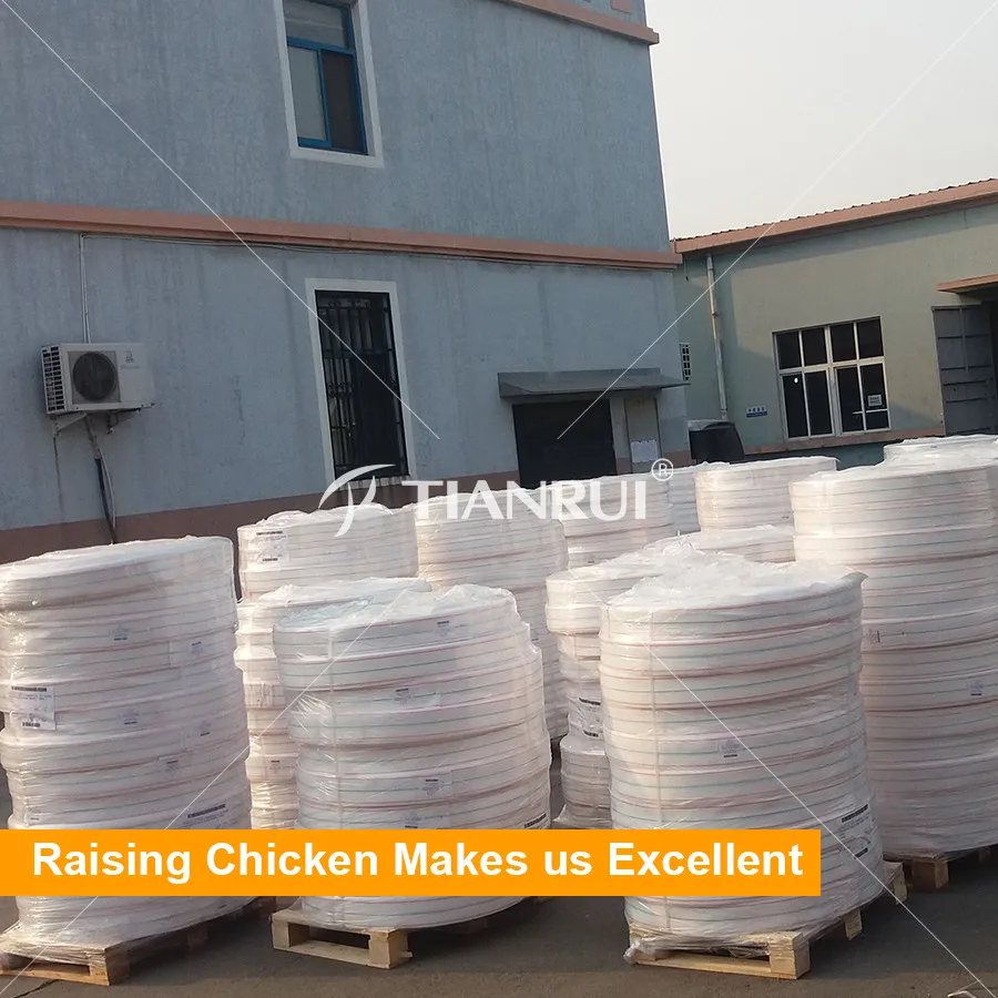 Egg Conveyor Belt For Automatic Collecting Eggs,Belts For Picking Up