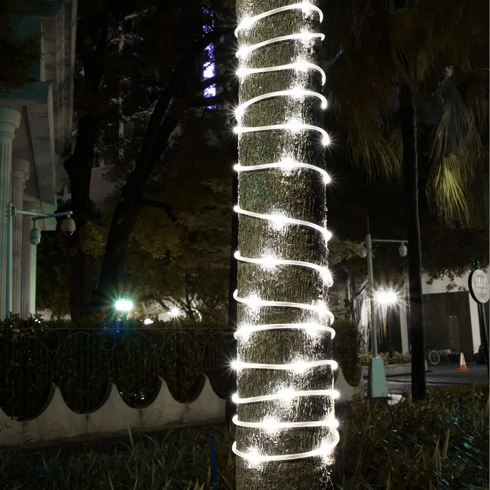 71DiGfeqNnL._SL1000_.jpg