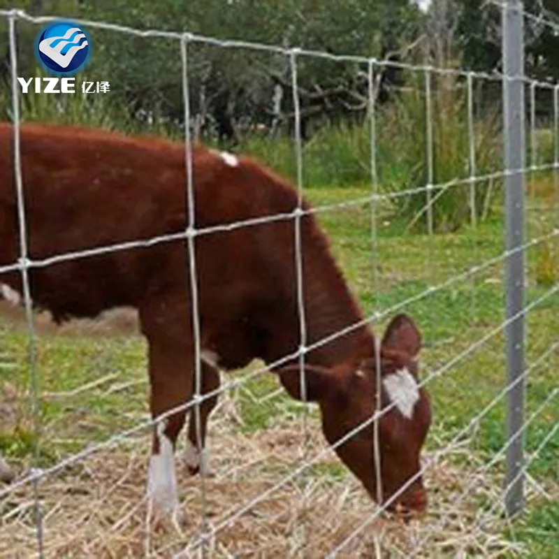 cow fence wire