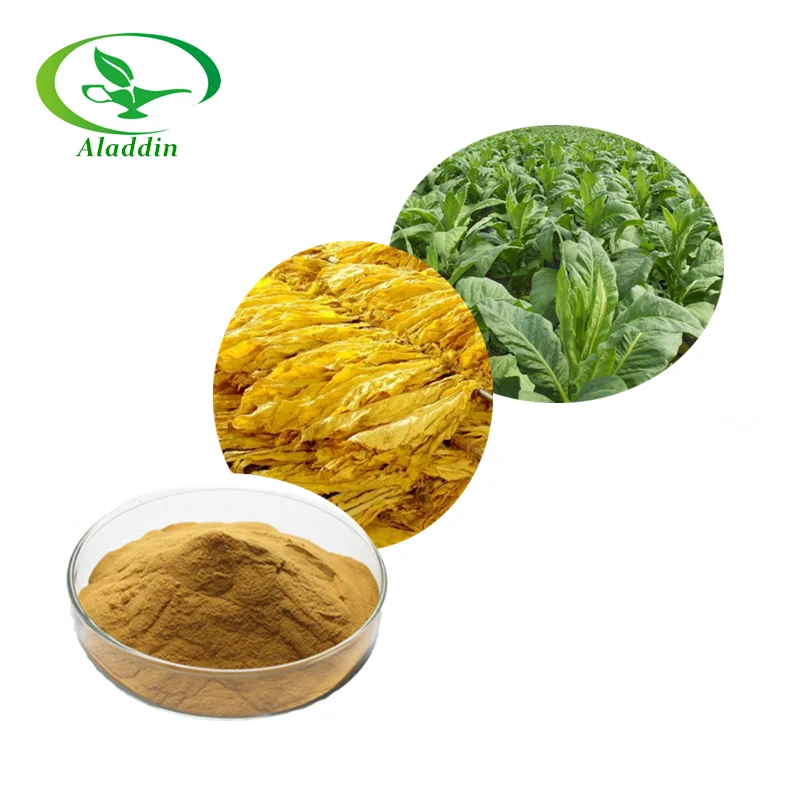 High Quality Tobacco Leaf Extract Powder In Hot Selling Buy Tobacco