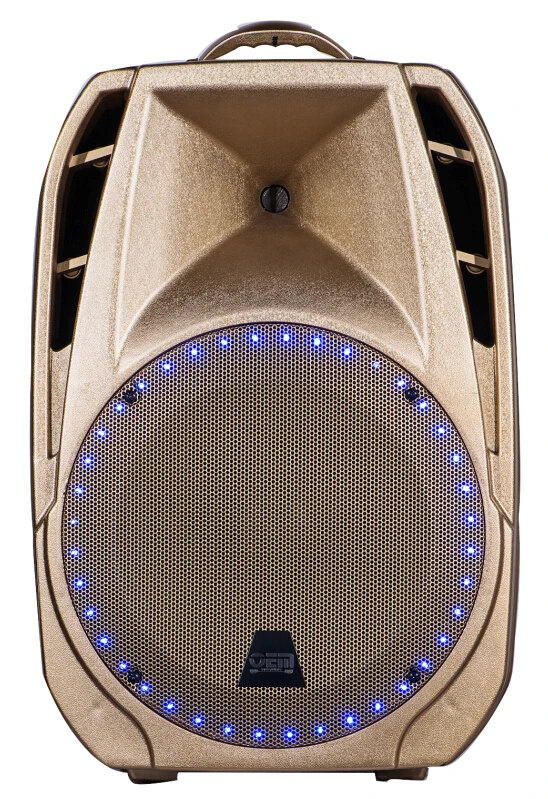 Luxury Golden Color Portable Pa Speaker System 15 Inch Plastic Speaker