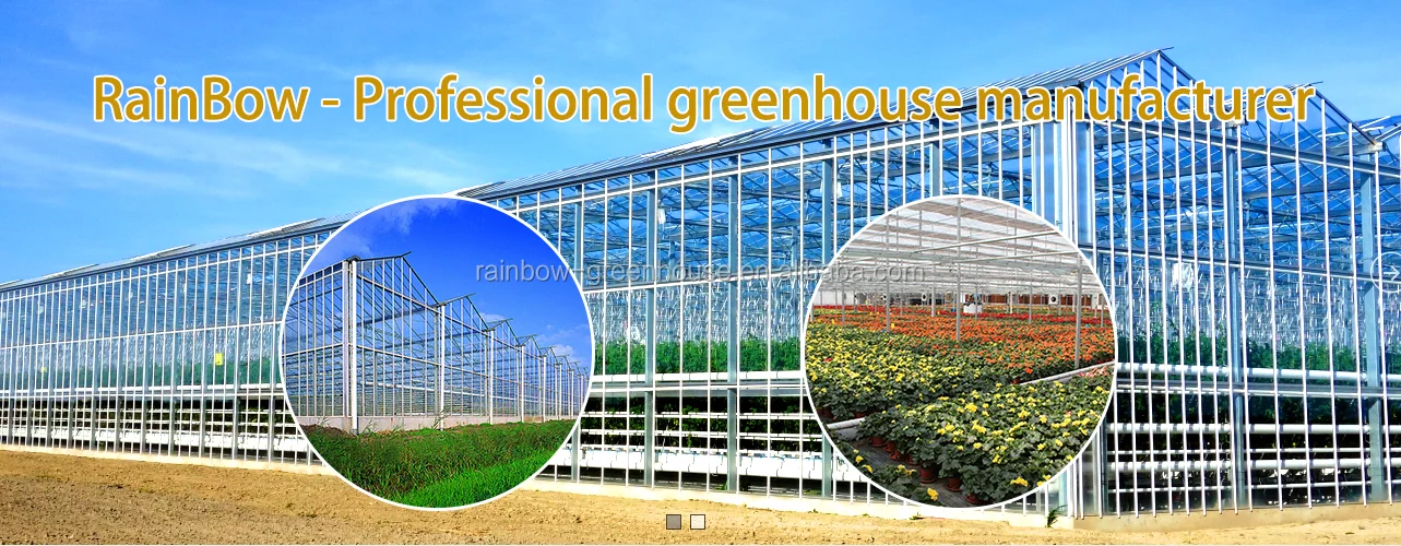 1531991581(1).png