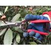 8" teflon blade plastic handle garden Pruning Shears/flower snip cutter pruner/bypass secateur