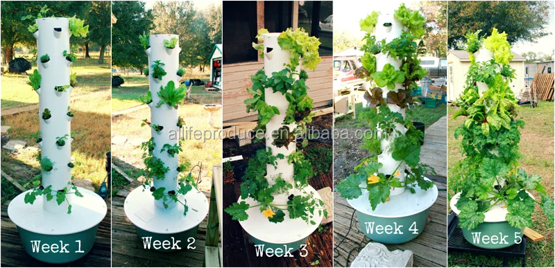 Vertical aeroponic tower garden hydroponic grow farm system