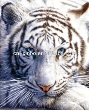 Download 53 Gambar Harimau Kutub Terbaru HD