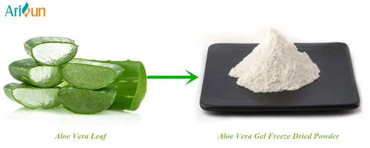 Aloe barbadensis leaf juice extract