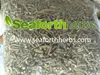 Silene Capensis / African Dream Root