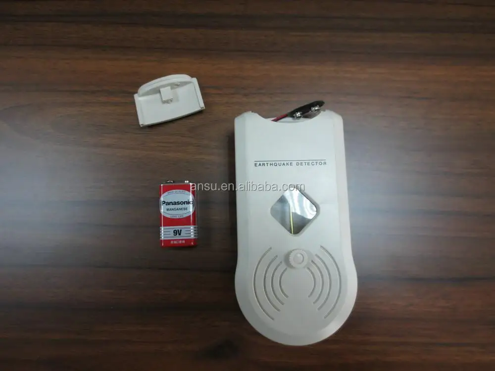 earthquake detector .jpg
