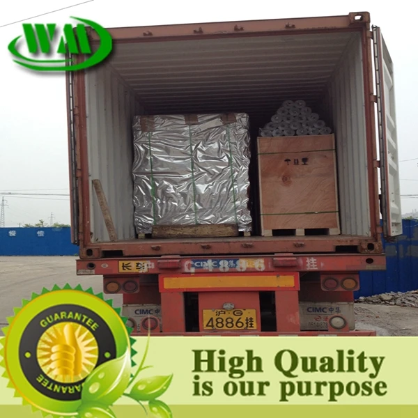 aluminum foil laminate pe