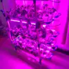 12 Pipes NFT indoor PVC hydroponics kit with Led light growing system