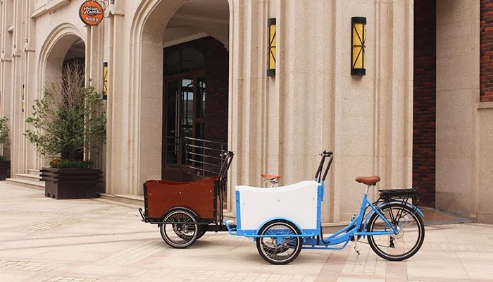 Netherlandscargo tricycle with cabin moped cargo tricycles cargo bicycle for children