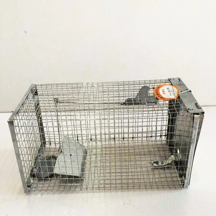 all metal rat cage