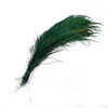 Natural peacock swords cut feathers