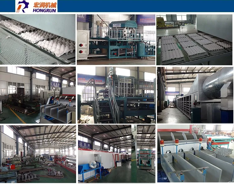 egg tray machine egg plate machine price egg tray machine egg plate machine price -5-6.jpg
