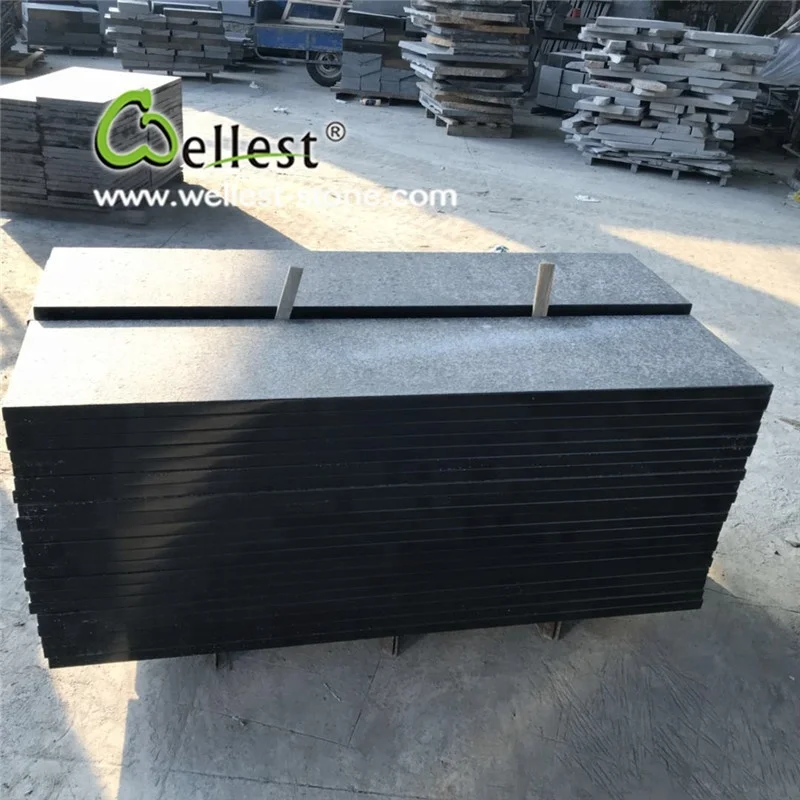 
Modern Style Flamed Black Granite Stepper for Garden Decoration 