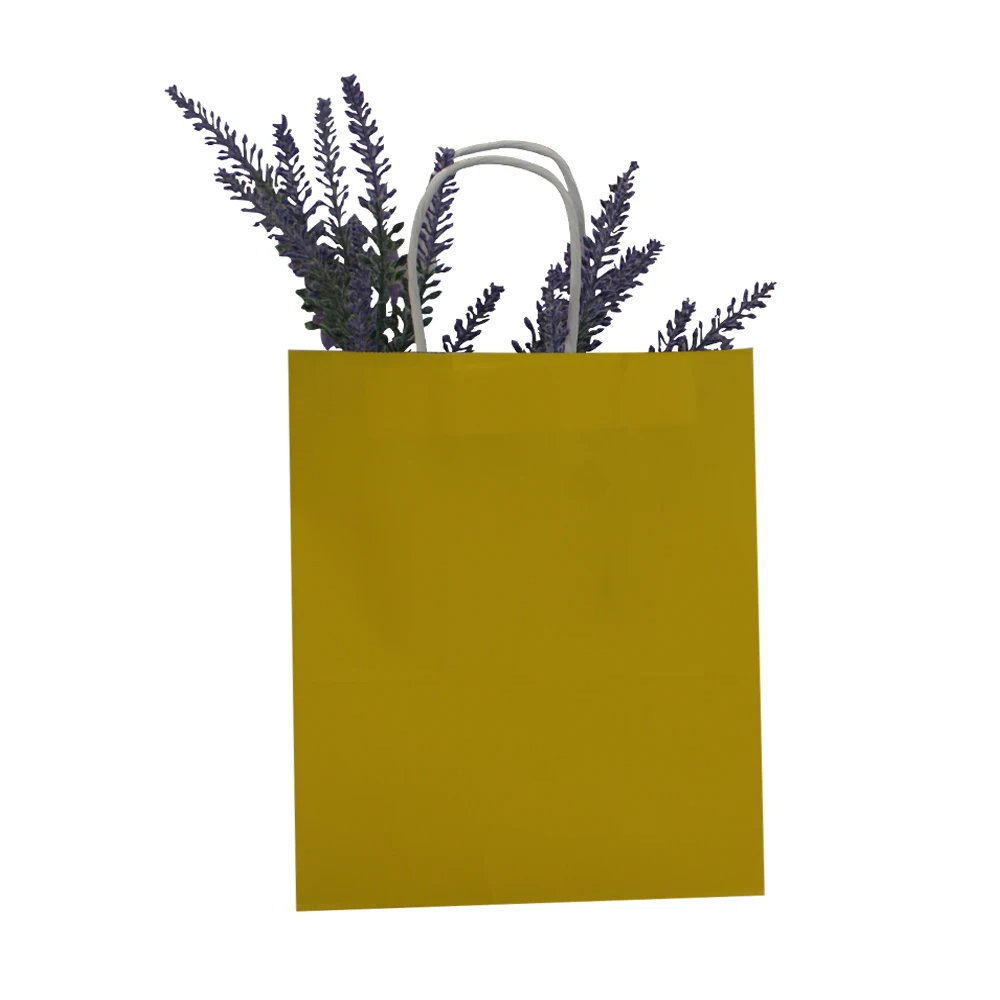 paper carrier bags wholesale for holiday gifts packing-10
