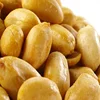 BRC-certified YOUI salted roasted coated flavored peanuts