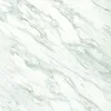 24x24 white flower pattern porcelain wall and floor tile