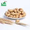 Hot Sale Soy Sauce flavor Coated crispy Peanuts