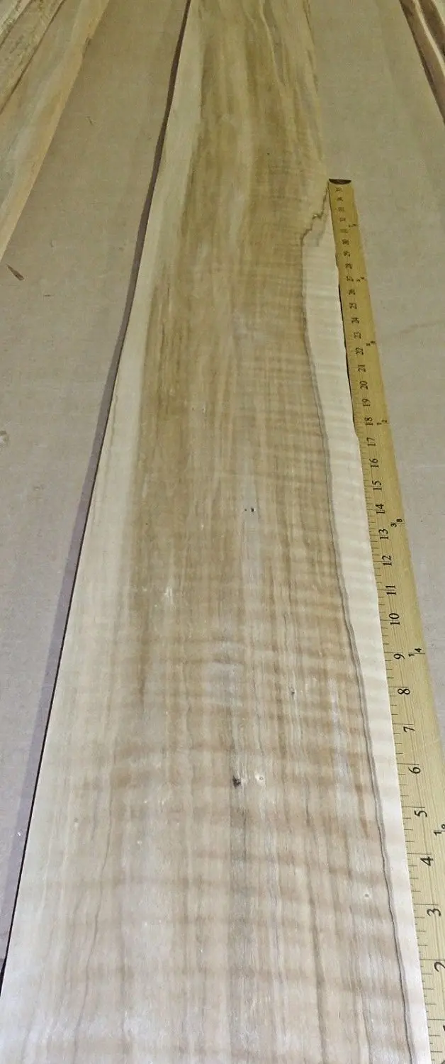 Spalted Ambrosia Wormy Maple Figured Fiddleback wood veneer 9/" x 126/" no backing