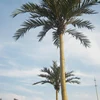 Big Simulation Tree Decorative Outdoor Artificial Coconut Palm Tree