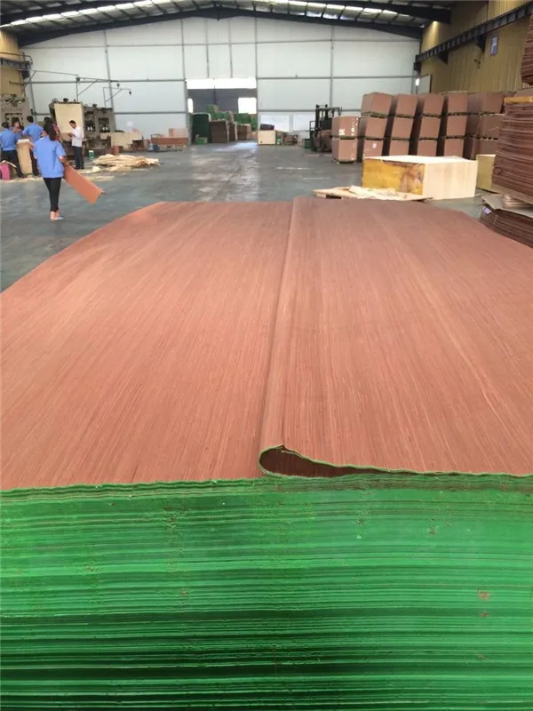 gurjan wood face veneer/ keruing face veneer /plywood manufacturers