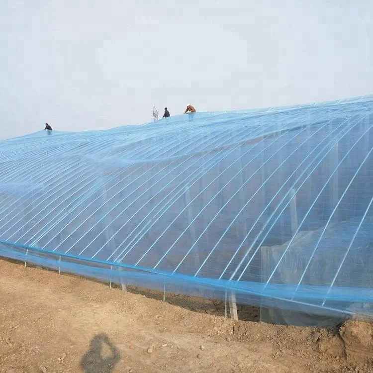 
High Quality Plastic Film Agriculture Greenhouse For Vegetable Agricultural PVC Film 