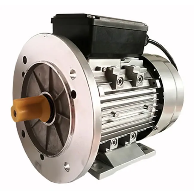 0.5hp Siemens Universal Electric Car Wheel Motor Price List For Juicer