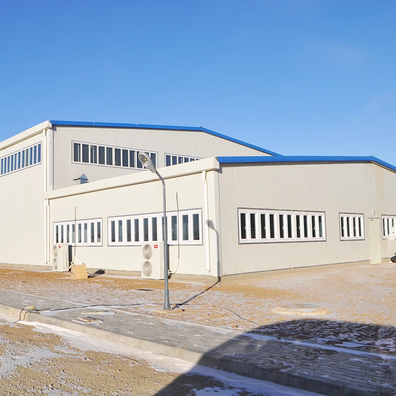 Lida Group modern steel buildings shipped to business for warehouse-10