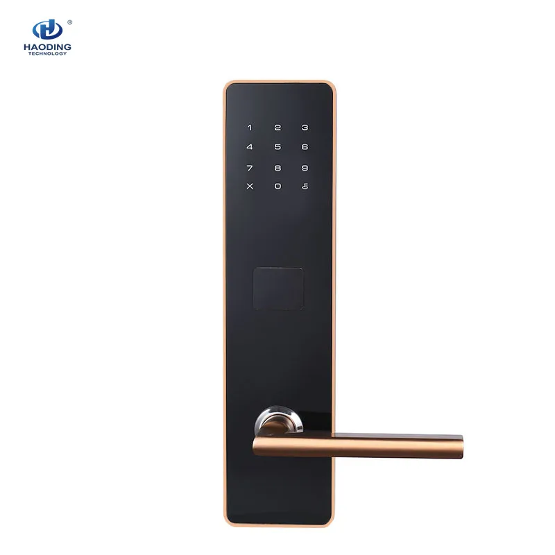 wifi bluetooth lock (1).jpg