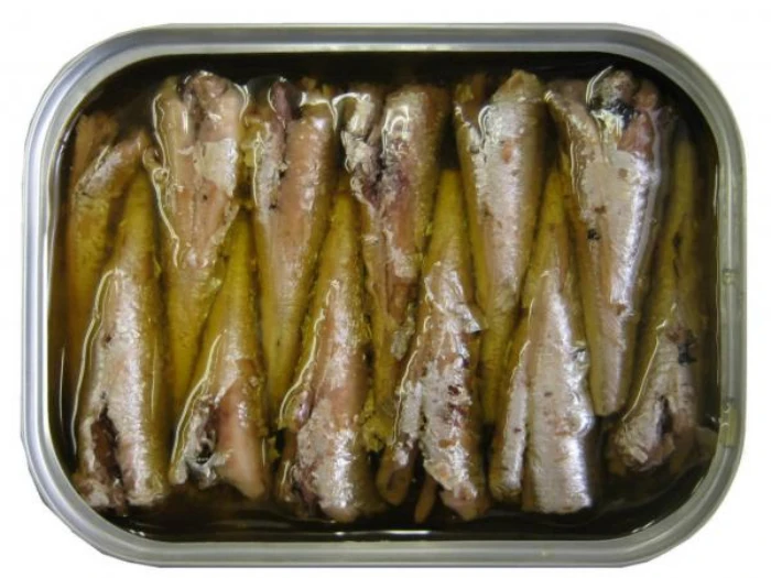 wholesale canned sardine in tomato sauce oil brine
