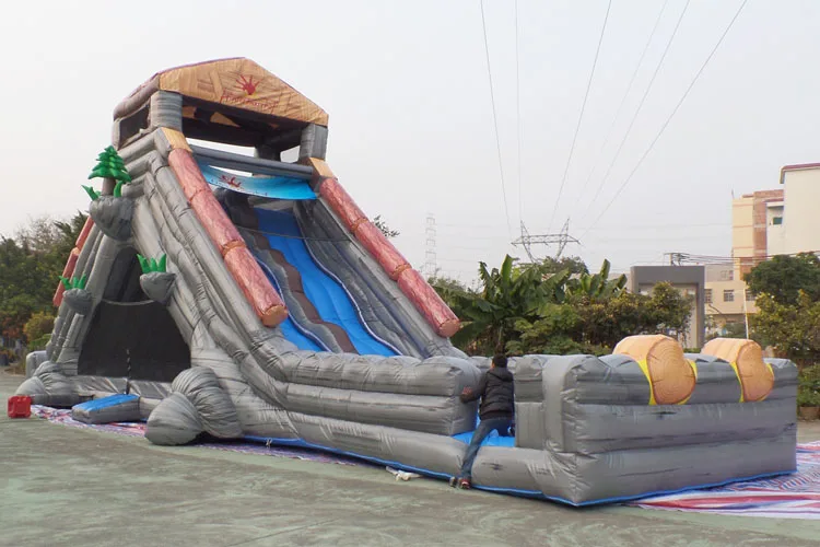 inflatable slide with pool.jpg