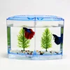 Acrylic Double Betta Aquarium Bowl Fighting Fish Mini House Incubator Box For Fry Isolation Hatchery Reptile Cage Turtle House