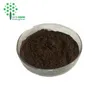Amazing Anti cancer herb extract hericium erinaceus extract triterpene