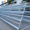 Battery Cage Chicken Layer For Sale