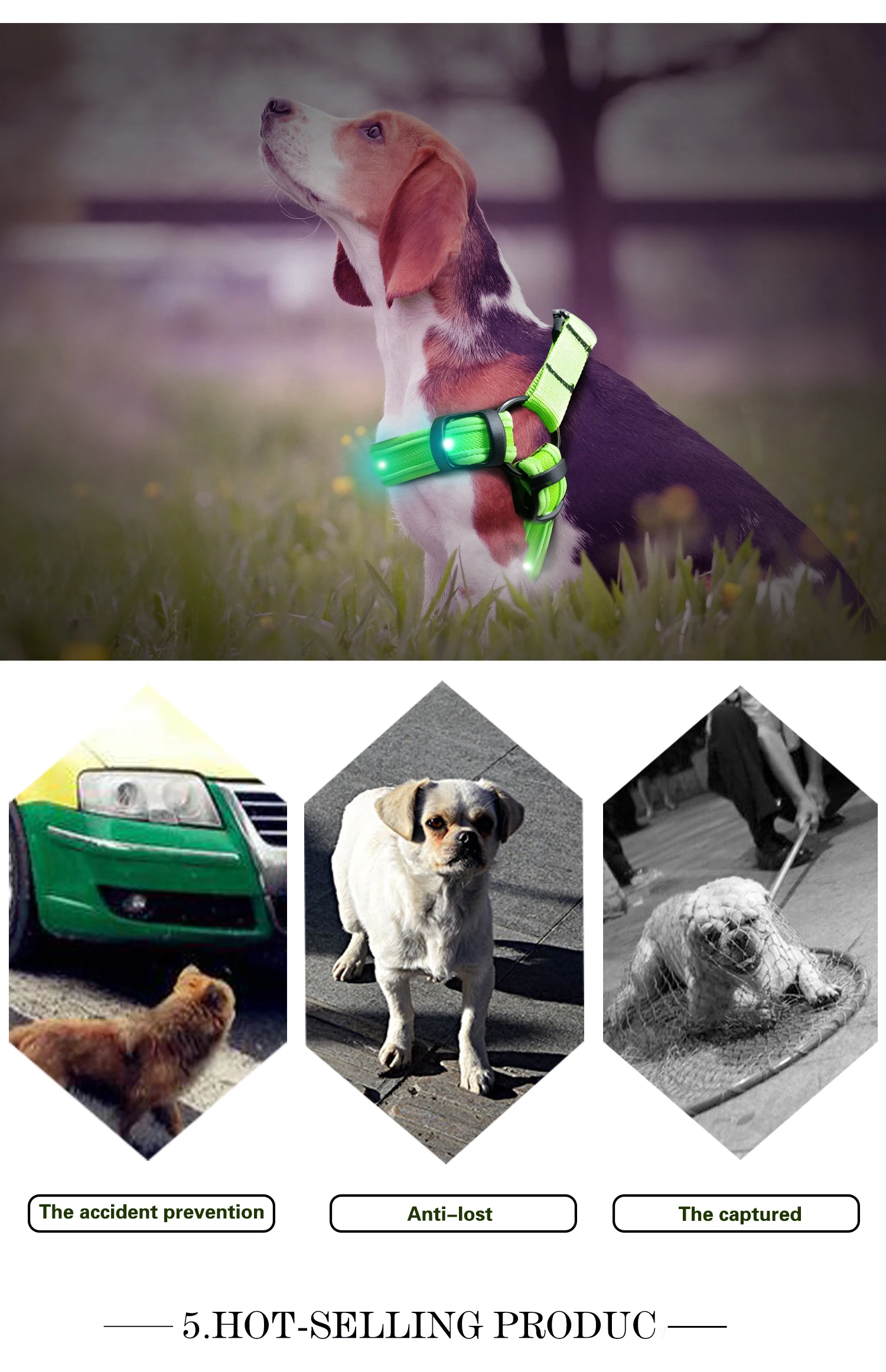 Nylon Dog Pet Safety LED Flashing Light Harness LED Leash Collar Vest