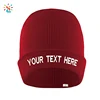 Wholesale different colors mens beanie custom skull cap beanie embroidered