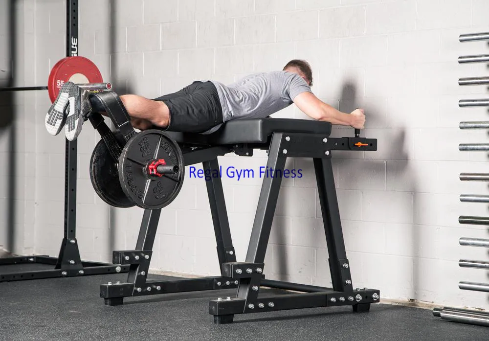 regal gym fitness01.jpg