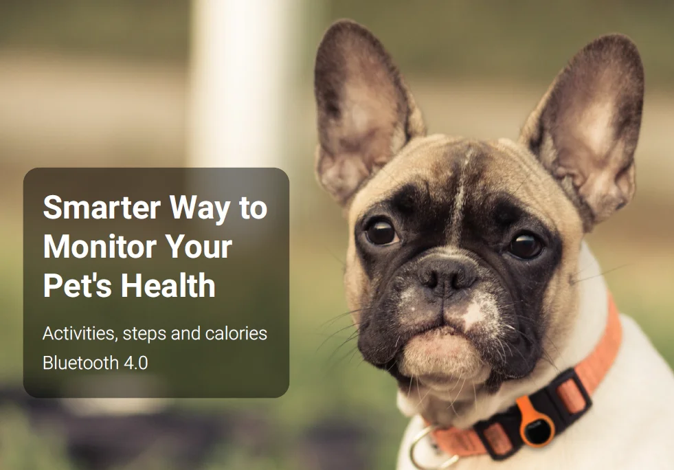 Pet Exercise Pedometer For Pet Dog Activity Tracking Buy Pet