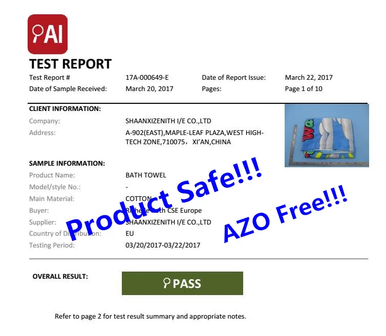 AI%C2%A0test%C2%A0report.jpg