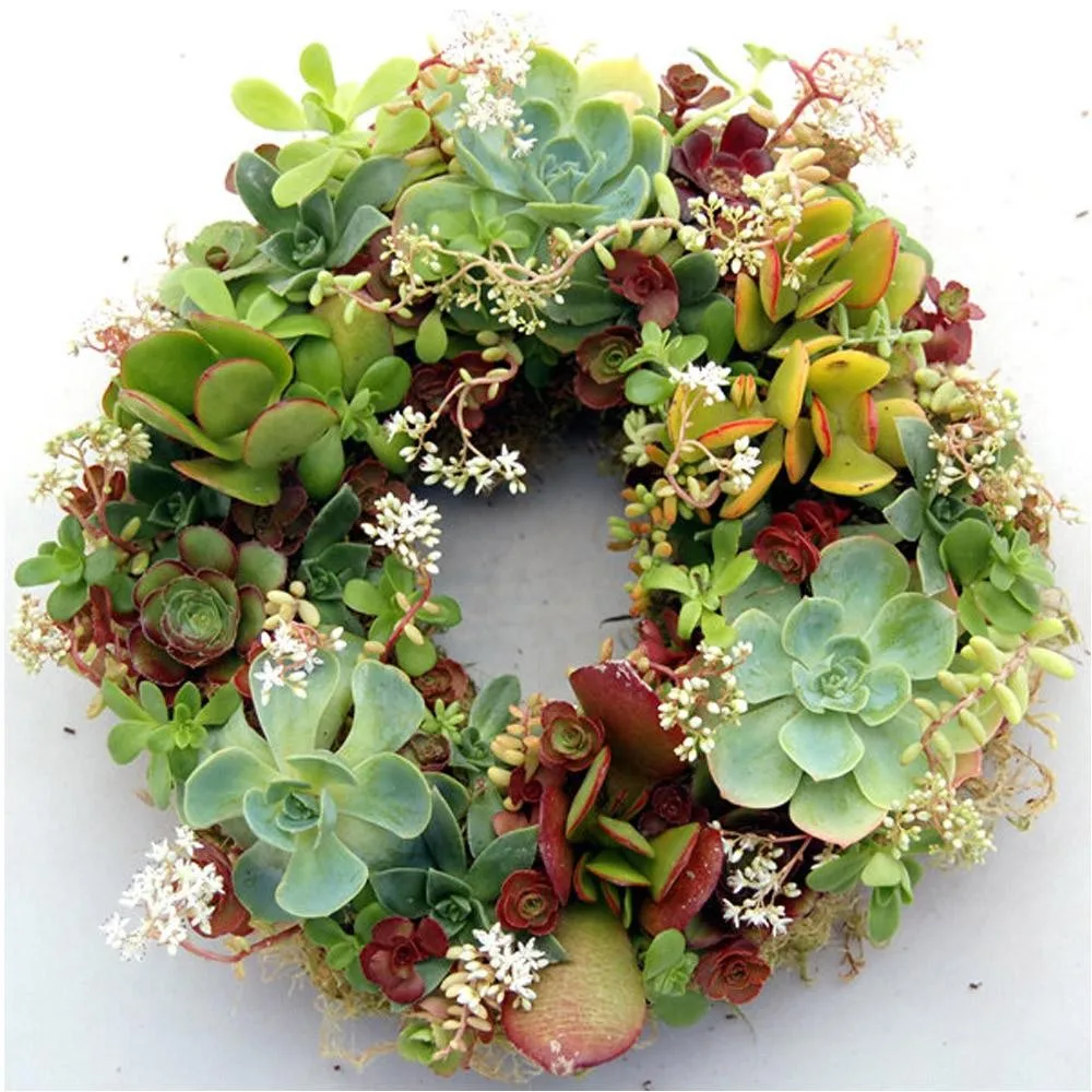Ring Wreath Round Floral Foam For Christmas And Wedding Decoration