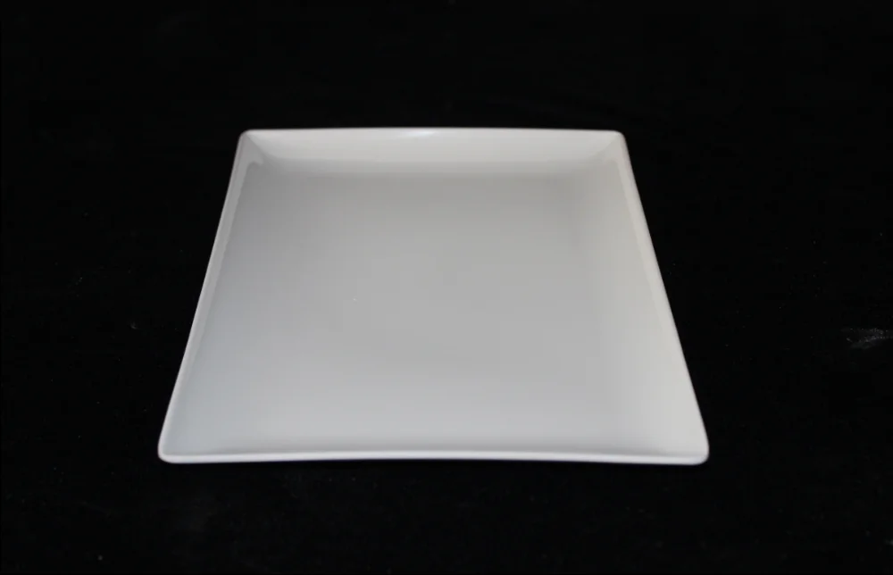 9.8inch melamine meal plate