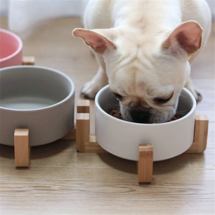 porcelain dog bowls