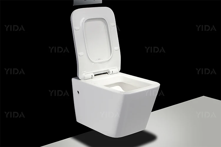 Yida Washdown One Piece Wall-Hung Japanese Toilet Toilets