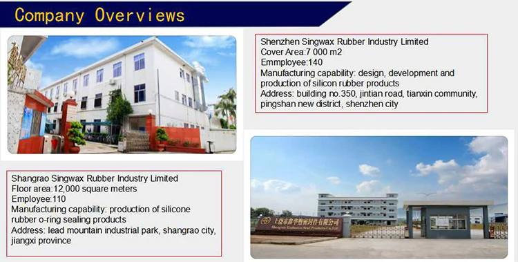 Company Overviews-6.jpg