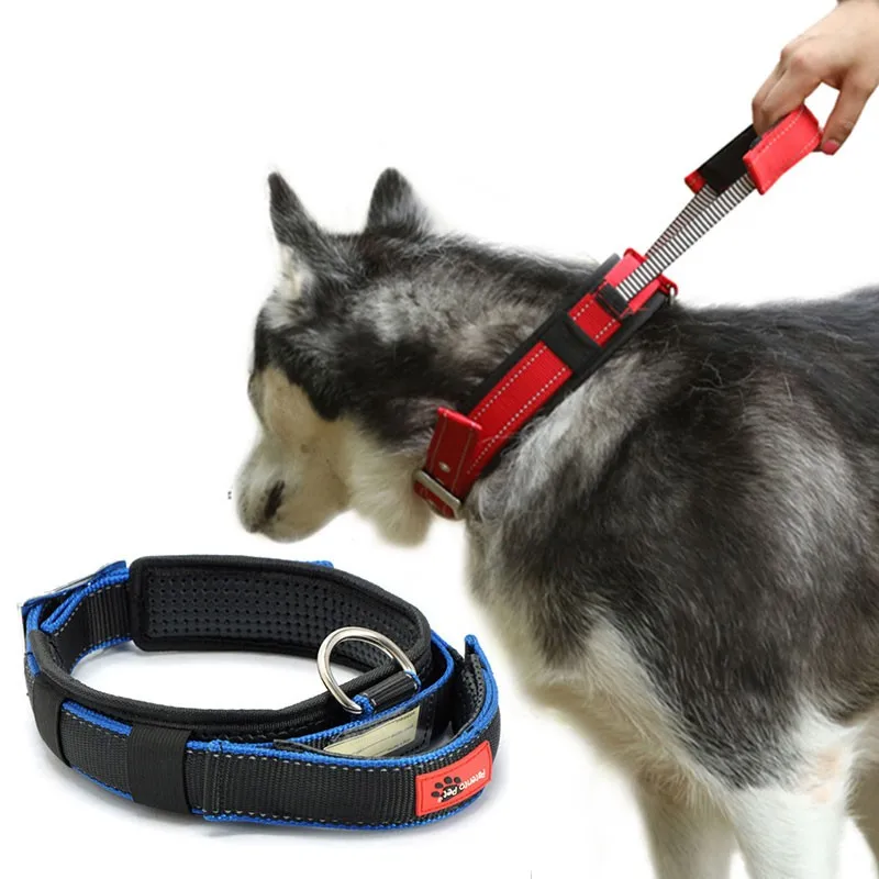 dog trainer collar